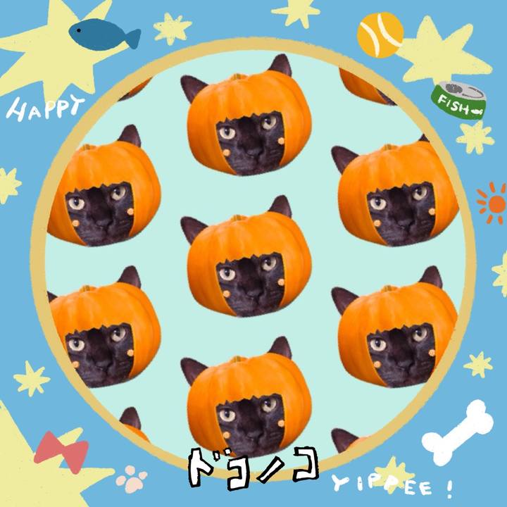 A6073ce9 8349 46bf b34d b6dcfdd97a50 1721239306682