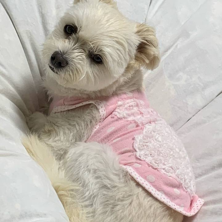 A6074542 ec99 478f 9545 d9a361c3d880 1572530042305