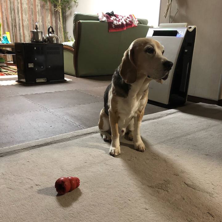 A6077509 96e5 4ca3 97dc 9a68c71d2165 1554215038789