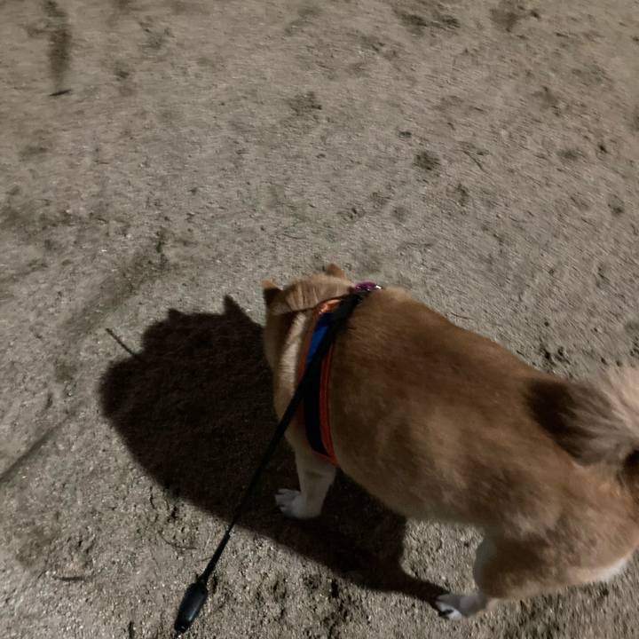 A60779a7 4138 4ab3 985b 43760039cc36 1615033930116