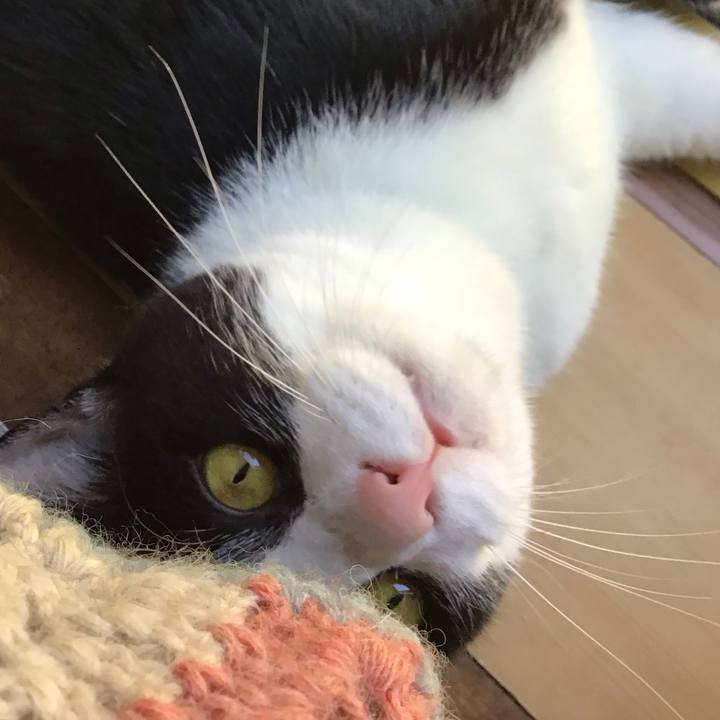 A60790e6 76ed 4b27 9088 9e9a2e00ca6d 1695094726702