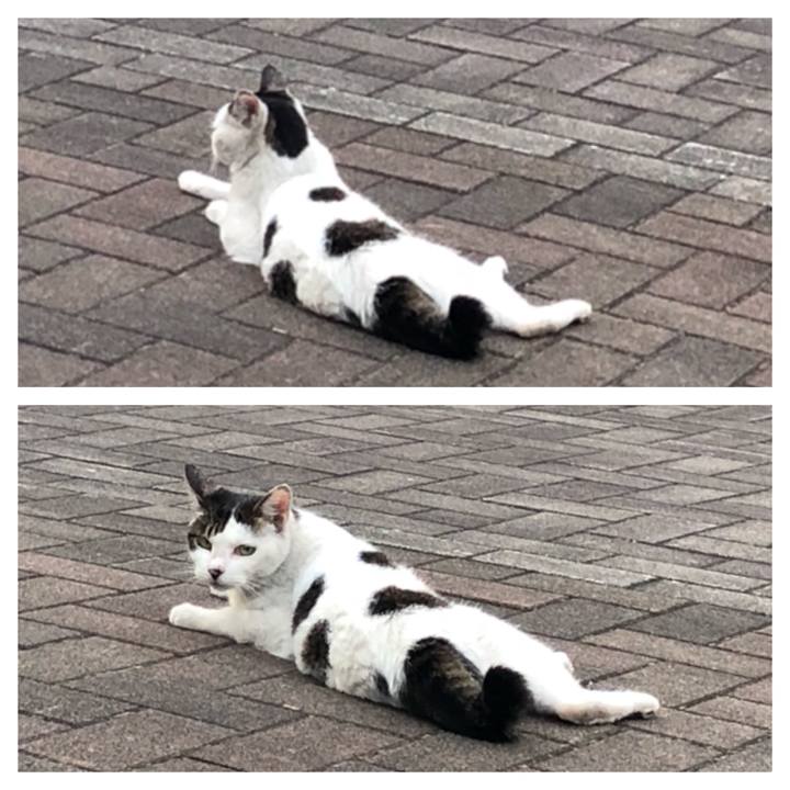 A607a2f6 ca38 453e 9dcc fdc45bacf68e 1532203164308