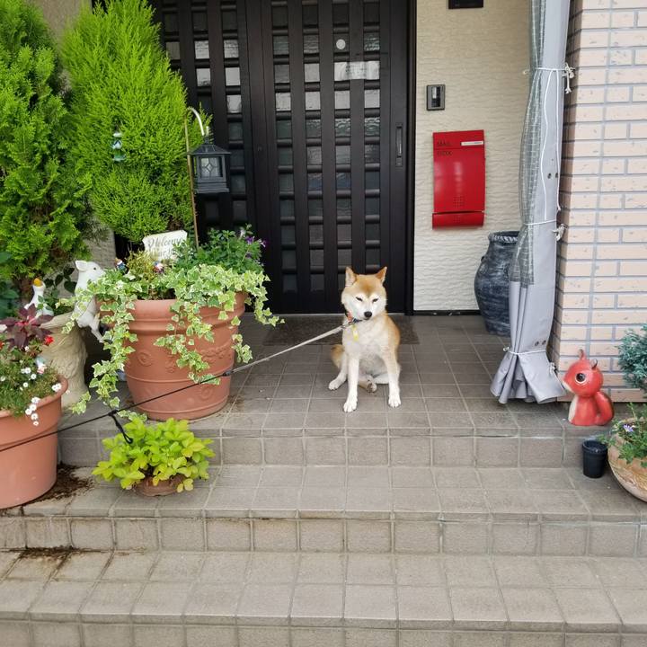 A607f930 f597 4740 97f8 4539bb8783f2 1563590930186