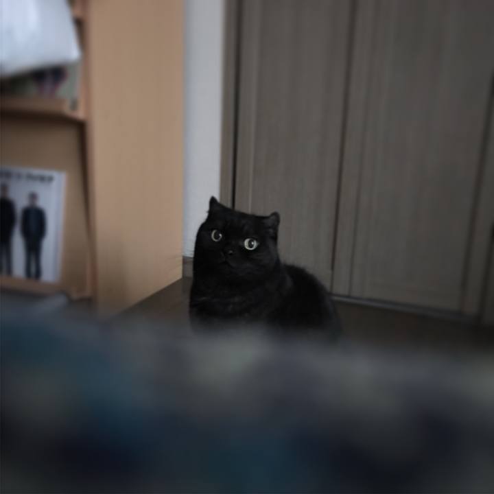 A60815f6 851d 4f6c 9a4b e73162128e3c 1509758520029