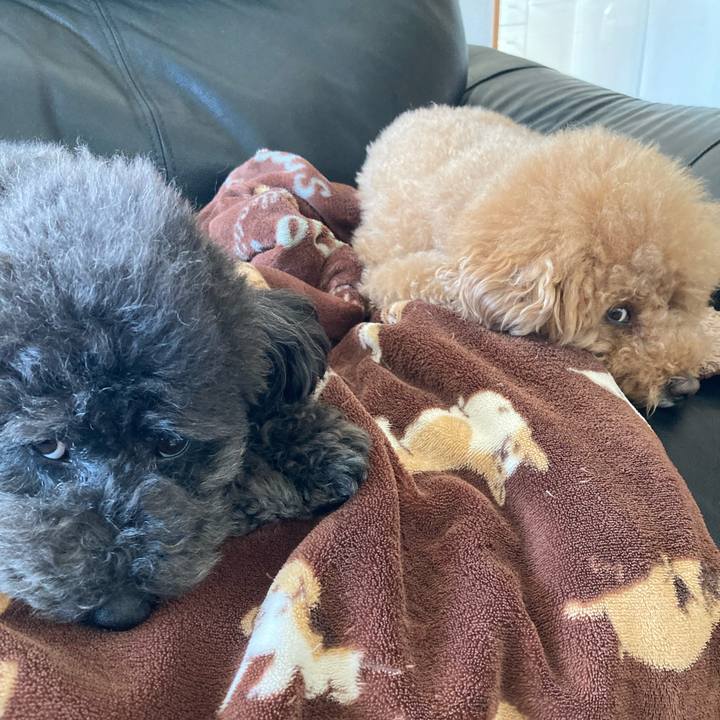 A6084535 315f 474c a6cf 9de3d39bda8b 1685341234228