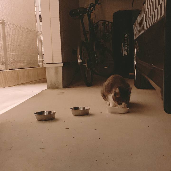 A608680b 357d 4015 a639 a51cf2e38fd2 1559920824826