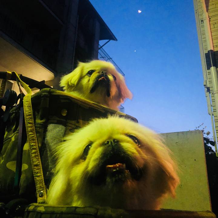 A6087d4a 577f 4421 9978 c5ff98748a1d 1597459937176