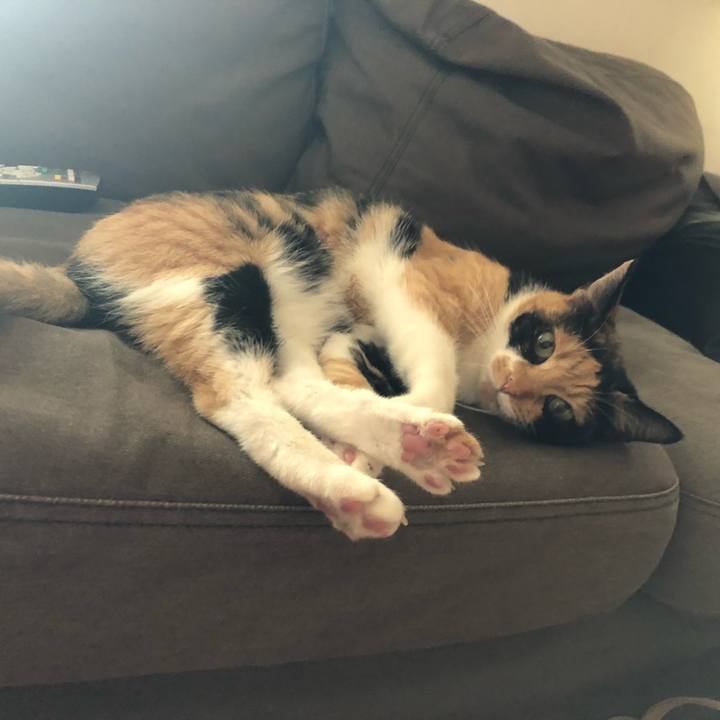 A6091b3d 3f12 4bfd badb 82a46d5f4785 1565486046761