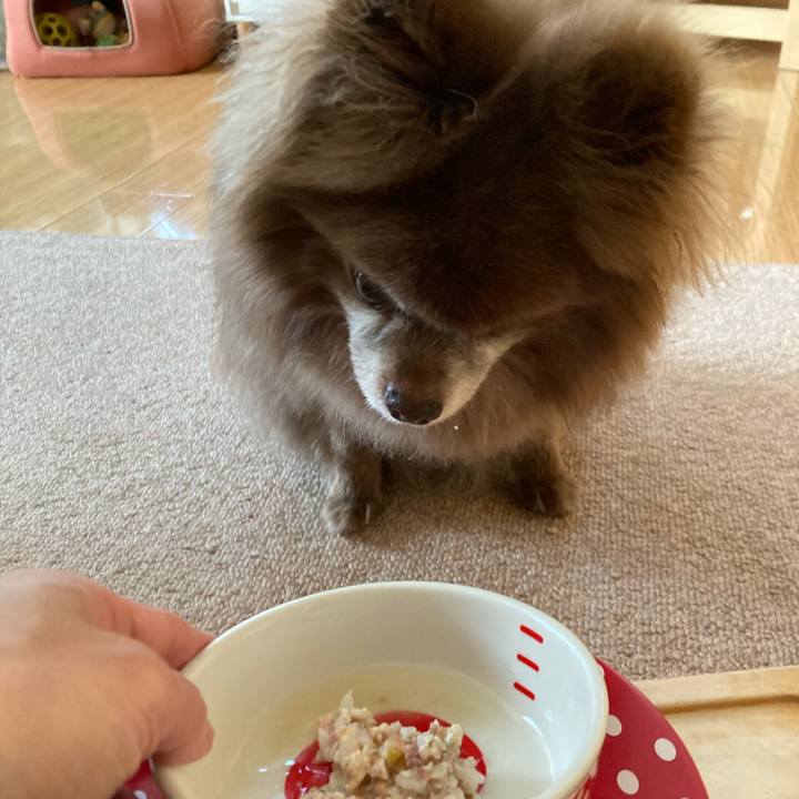 A6091e11 639f 413b 9f33 f4feb858181a 1682203685147