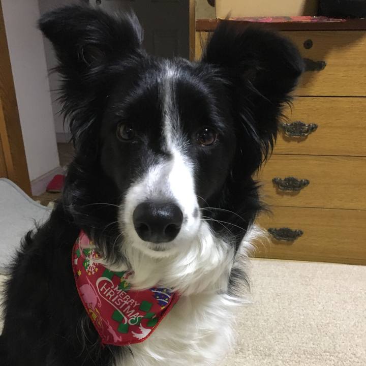 A6092b91 1164 4dcc 97ff 1ebe86975398 1545637477279