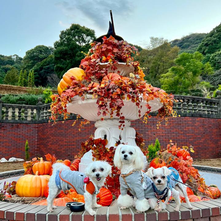 A6097b0a 15e7 4d4b b074 f1afc9412733 1667130082894