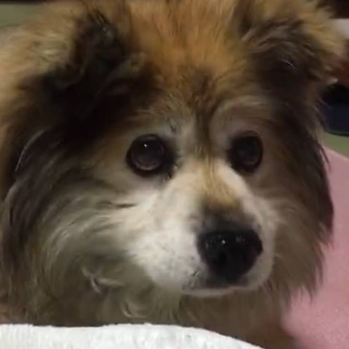 A609cf71 94ac 4704 88f1 973a3c36ad45 1603295146756