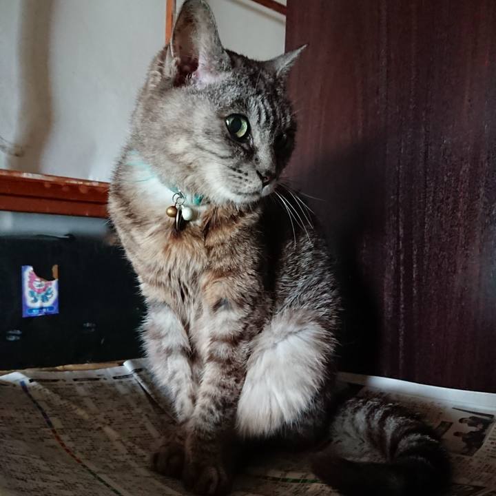 A609e6ed f8ce 4500 b180 cd920984987f 1568161095844