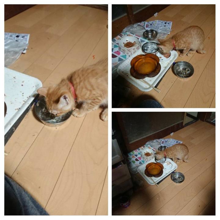 A60a077b 15f8 4ec2 9dd8 9c1e2d6b6495 1632602088763