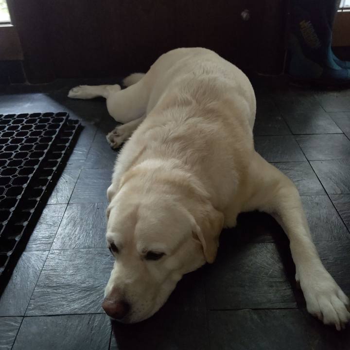 A60a4b97 d164 4f71 a30e c1aace29e898 1692411442067