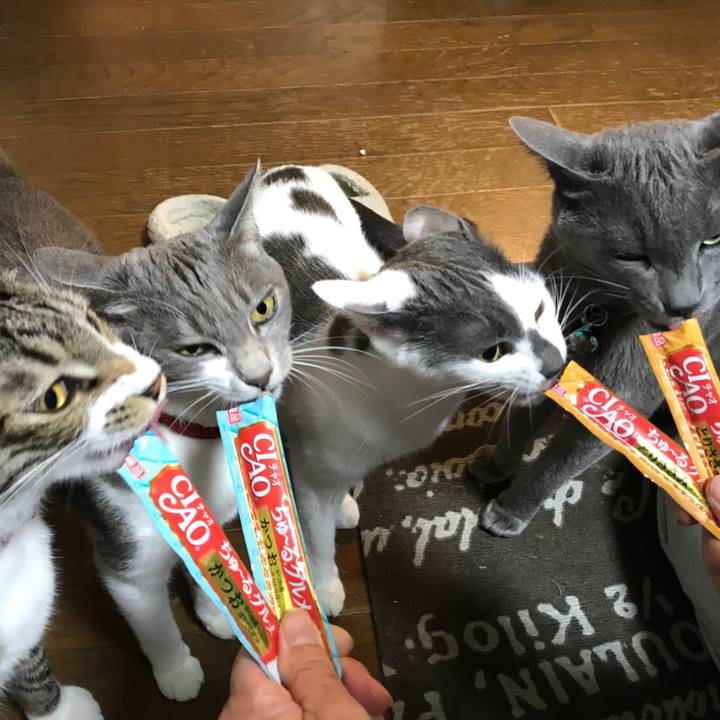 A60a515a 5ffd 4eaf b60e b38a0db1d0c1 1520430933864