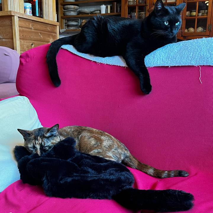 A60a75c7 9246 4c82 861d 80e188fd789f 1732141595916