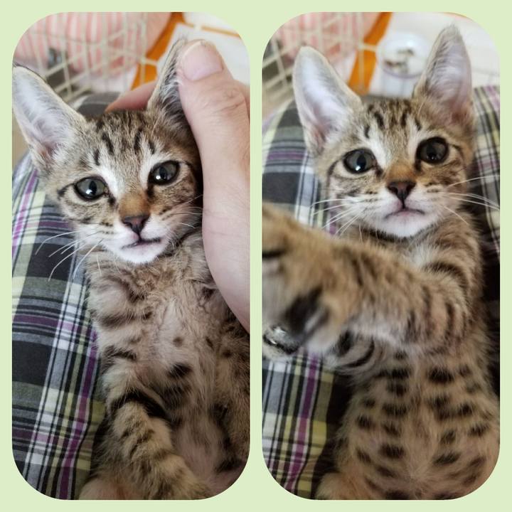 A60a87a7 97ac 446e 81d8 314dba3ee02d 1534933828532