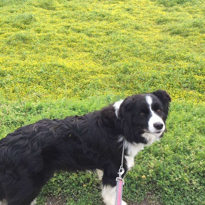 A60a891b 2434 45a3 b7ce 4f14c92caa1a 1585870435112