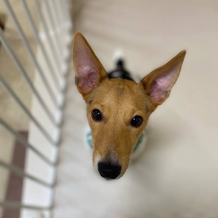 A60b1b71 731f 4c9c beb4 7e2be0541598 1756289565728