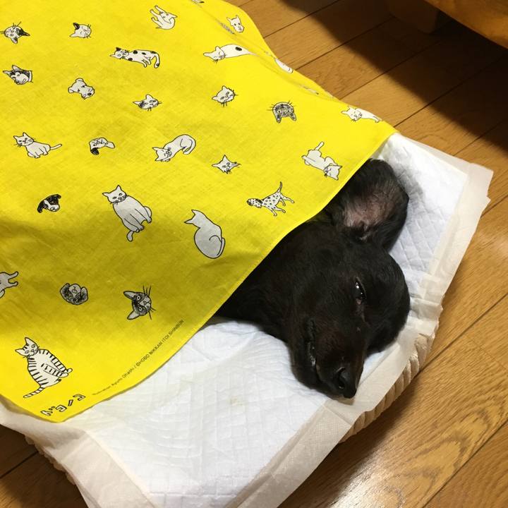 A60b71a7 10ce 493e 9644 f0e772d54cbc 1557684640939