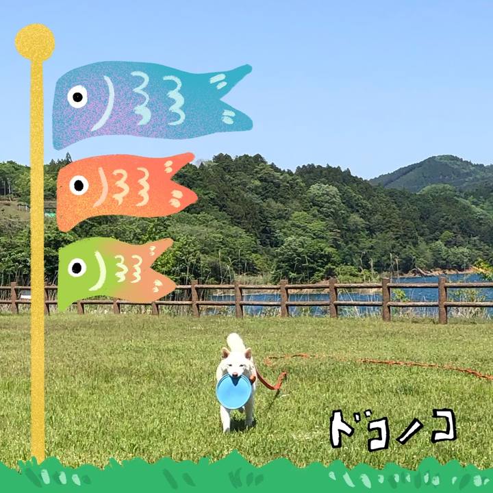 A60b841d 7b97 4d55 a964 8cb6170e615d 1714883846856