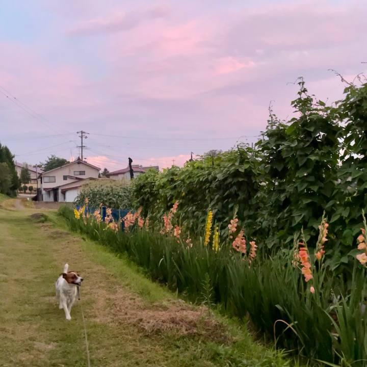 A60b9bb3 475f 437c ab90 800e3a709a6c 1627299288841