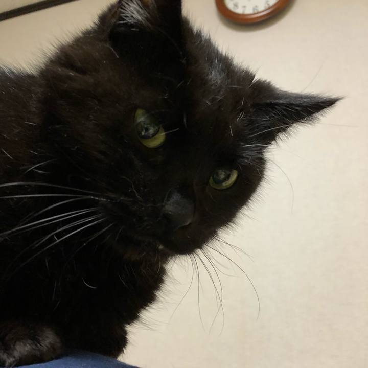 A60b9e23 defc 4e22 8585 0722dbb2905d 1634741362713