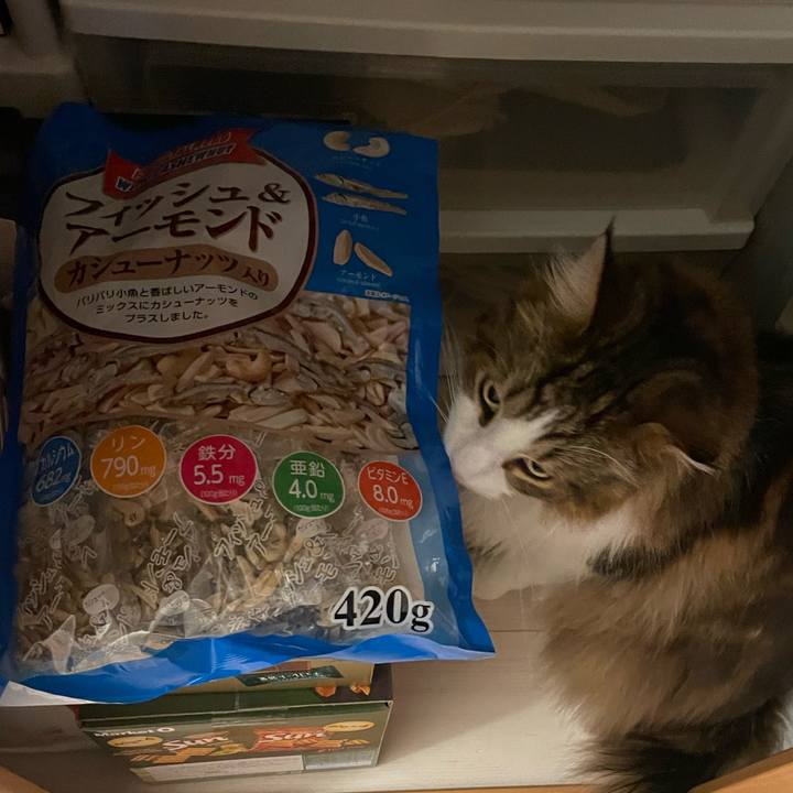 A60be54c e99d 4d9e aae7 90efaf0c266c 1717702875796