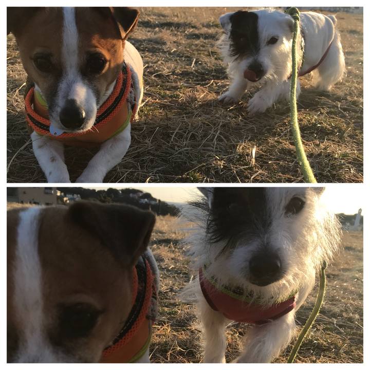 A60bf79b 90e1 4c45 94b3 0e1f6a582d55 1518510614515