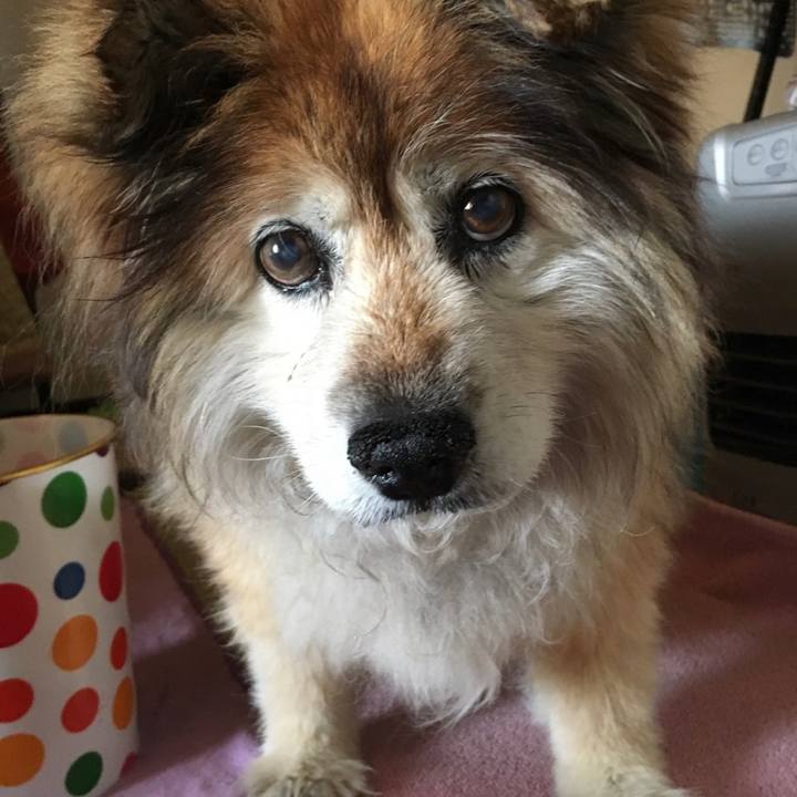 A60c2303 310f 42cf a4cf 6ac4e495e345 1593415808907