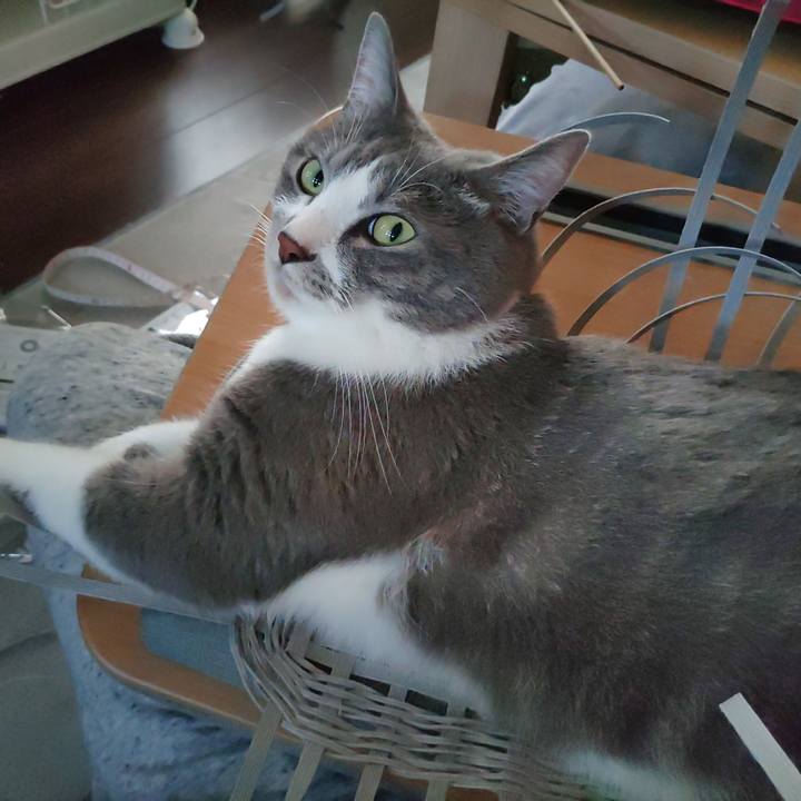 A60c5228 cf51 426f 81f7 30d85dd07958 1657455311655