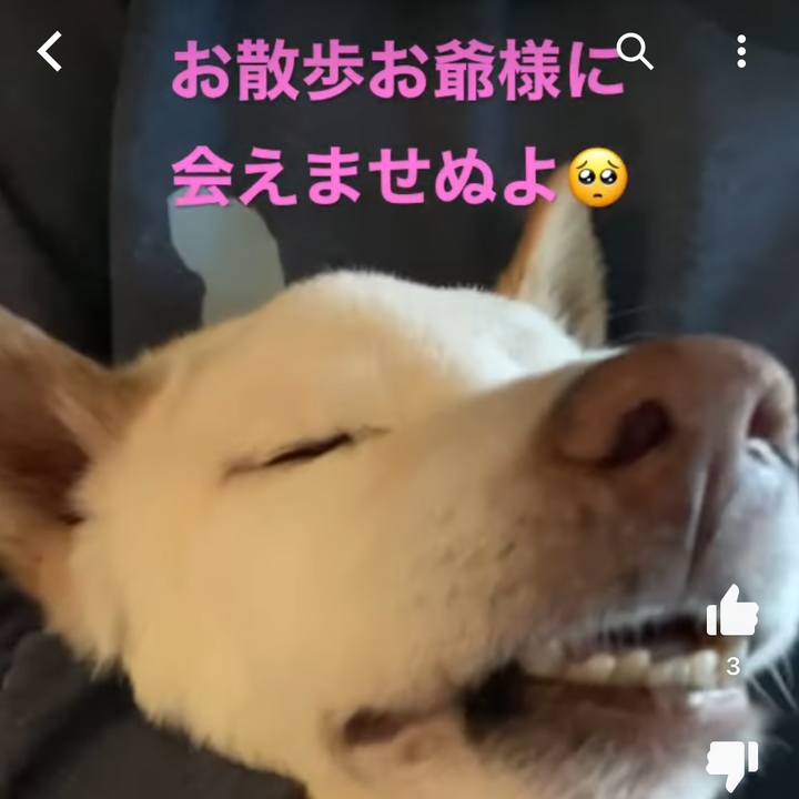 A60c57b9 f98a 44d6 8f3b af234e04a172 1672222922612