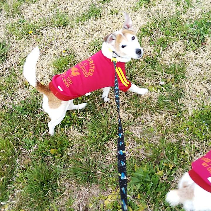 A60c69bf 7958 4f68 bd76 9391157c5728 1553412989301