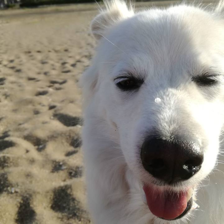 A60c9651 528a 47a1 8bc6 295221872f0b 1521763981116