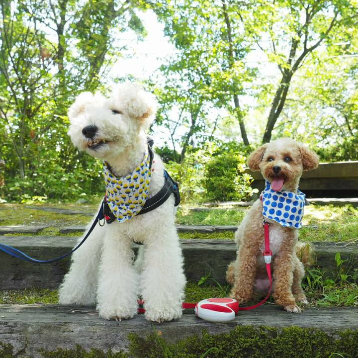 A60cc2b3 bb75 4913 b0db 5a9d24bae847 1527205918960