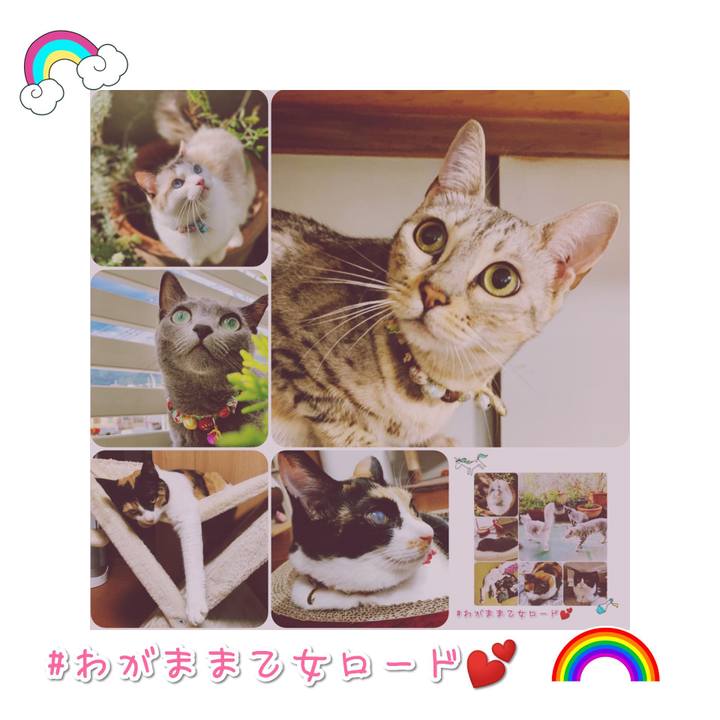 A60cdb2c 70b2 4de3 82f8 c79234538c5d 1567820615671