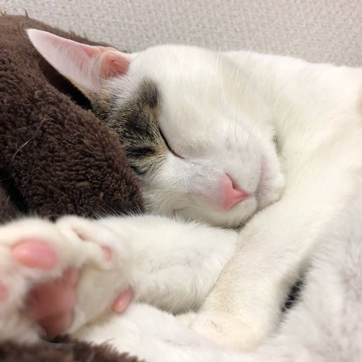 A60cfa7f 6d74 4d16 951e fd6cf7f59ed0 1556449462042