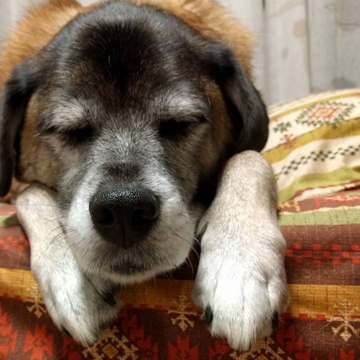 A60d1222 eec5 4883 a016 789d388e4f9b 1510484385474