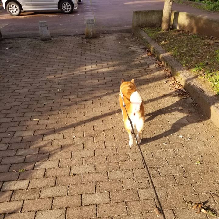 A60d2b86 33e8 42b4 b3c4 2595f8b451b9 1568964490666