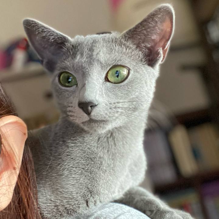 A60daa34 638c 4870 b257 ba95825491a6 1604537239208