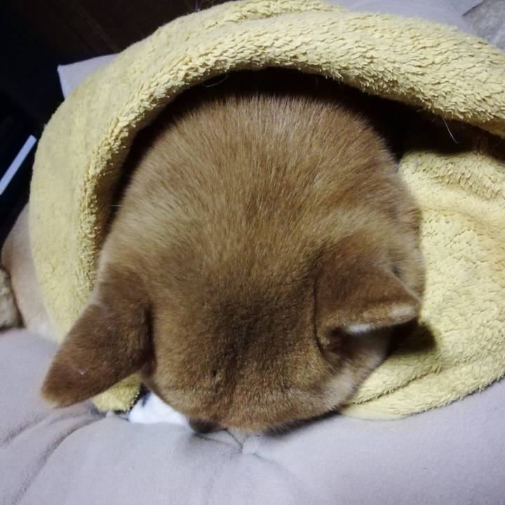 A60dabcf 3abd 441e ada1 f0070cd8e00d 1614686712762