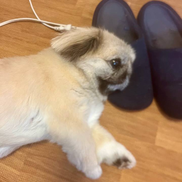 A60dd67a e597 48f5 9e03 7793d4705742 1724989263048