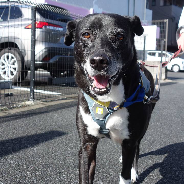 A60e0075 172a 4ad9 a59a 96a3b6be102a 1746578946087