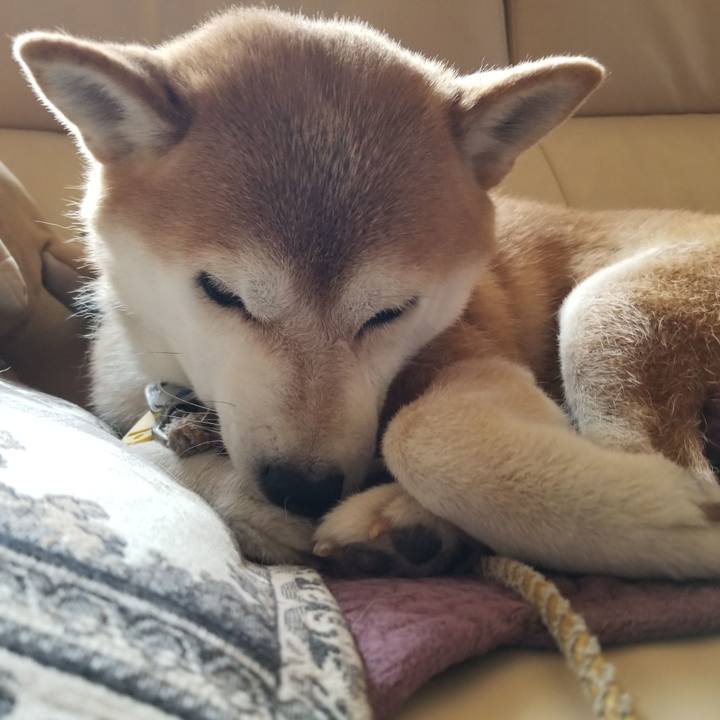 A60e138a 5b31 4972 863f 9892094c689f 1565495669389