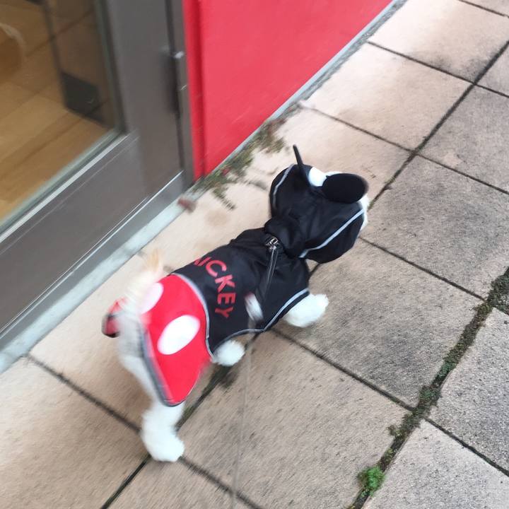 A60e199b e665 4804 93ca bc1208e1d352 1508676240566