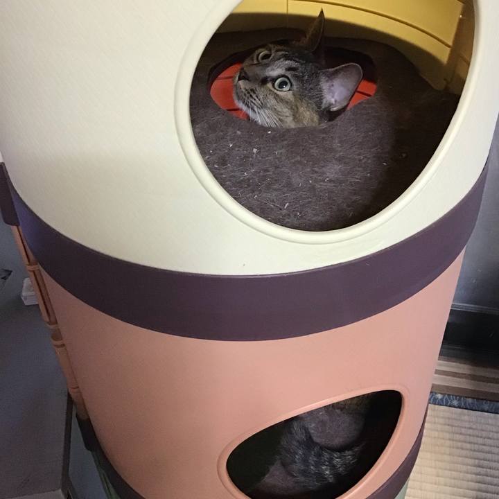 A60e273f f9d0 4c42 b3d1 1b57096fb1d3 1758104421707