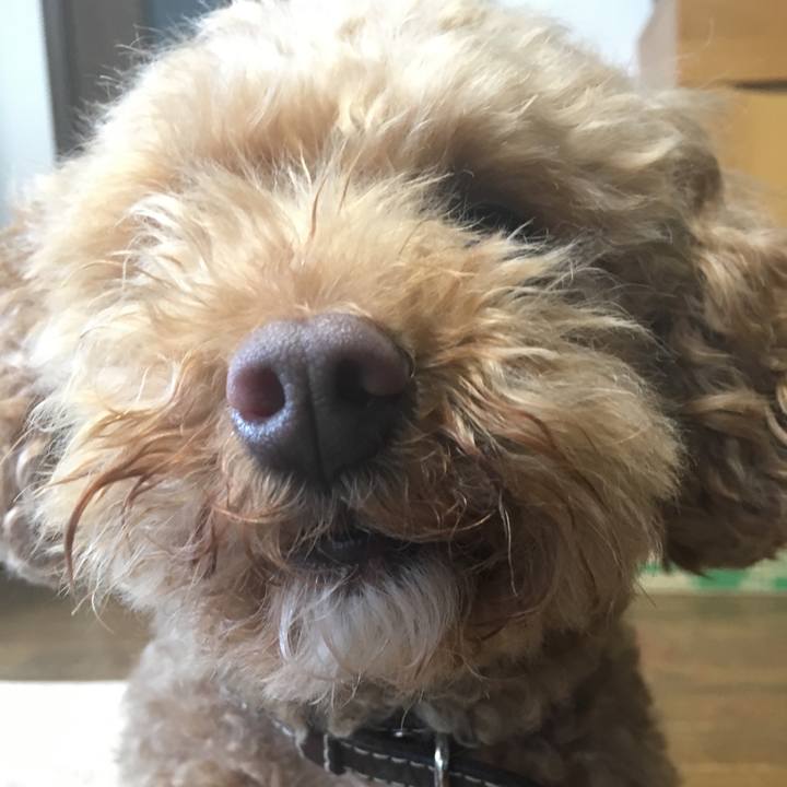 A60e2922 b237 421c 8363 12702819b4f1 1523435159530