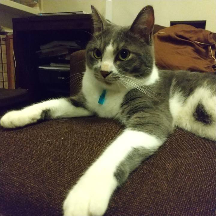 A60e351b 3035 4265 95d2 adaf4002536c 1629982342872