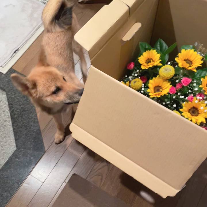 A60e5060 8fcc 4960 ae20 e05a284fb411 1667709005782